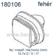 180106 FIAT DUCATO DíSZLÉC PATENT