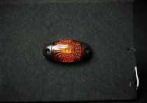 FT-025Z LED HELYZETJELZŐ SÁRGA