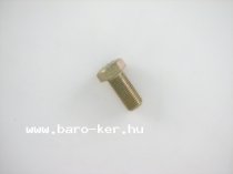 MARUTI VEZÉRMŰSZÍJKERÉK CSAVAR
