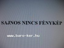 KATALIZÁTOR FIAT PUNTO FIC6008