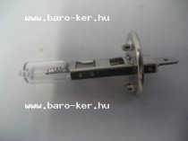 24V H1 100W IZZÓ
