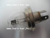 24V R2 55/50W IZZÓ