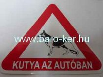 MATRICA: KUTYA AZ AUTÓBAN